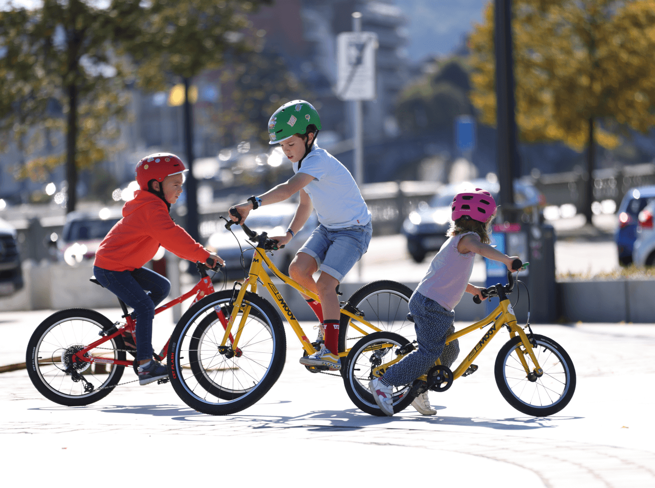 Roue apprentissage online velo